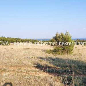 Poljoprivredno zemljište 1000 m2 na Viru, Zadar *550 m OD PLAŽE* *POGLED MORE*  (ID-1876)