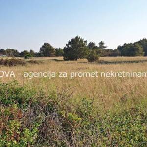 Poljoprivredno zemljište 1400 m2 na Viru, Zadar *600 m OD MORA*  (ID-1872)