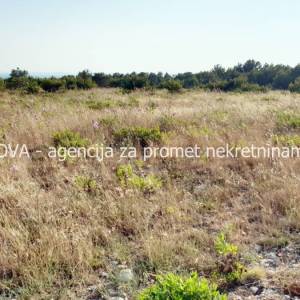 Poljoprivredno zemljište 11000 m2 na Viru, Zadar *POGLED MORE*  (ID-1870)