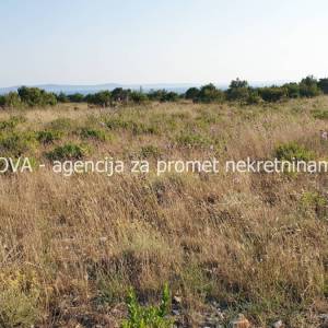 Poljoprivredno zemljište 11000 m2 na Viru, Zadar *POGLED MORE*  (ID-1870)