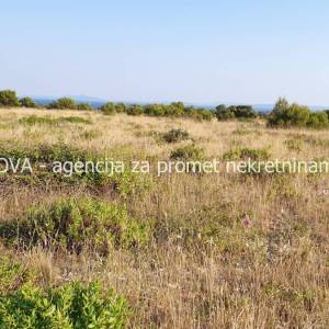 Poljoprivredno zemljište 11000 m2 na Viru, Zadar *POGLED MORE*  (ID-1870)