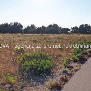 Poljoprivredno zemljište 11000 m2 na Viru, Zadar *POGLED MORE*  (ID-1870)