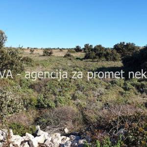 Poljoprivredno zemljište 12500 m2 na Viru *POGLED MORE* *PRILIKA*  (ID-1694)