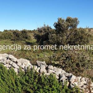 Poljoprivredno zemljište 12500 m2 na Viru *POGLED MORE* *PRILIKA*  (ID-1694)