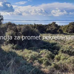 Poljoprivredno zemljište 12500 m2 na Viru *POGLED MORE* *PRILIKA*  (ID-1694)