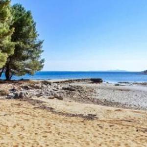 Poljoprivredno zemljište 1540 m2 na Viru, Zadar *PRILIKA*  (ID-1501)