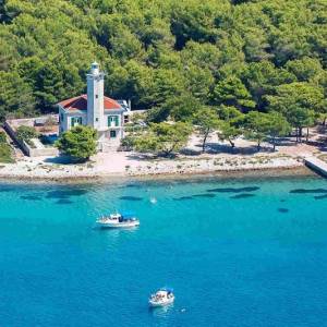 Poljoprivredno zemljište 9171 m2 na Viru *PRILIKA* *ISPOD CIJENE*