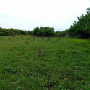 Poljoprivredno zemljište od 7600 m2 u Ninu, Zadar *LIJEPA POZICIJA*