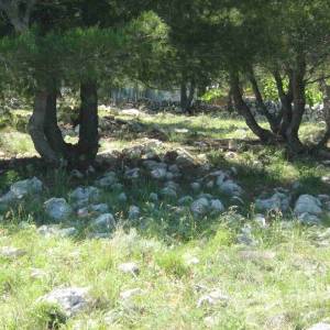 Poljoprivredno zemljište 1200 m2 na Viru, Zadar *POGLED MORE*