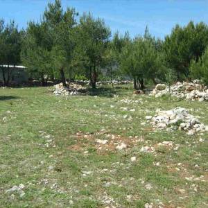 Poljoprivredno zemljište 1200 m2 na Viru, Zadar *POGLED MORE*