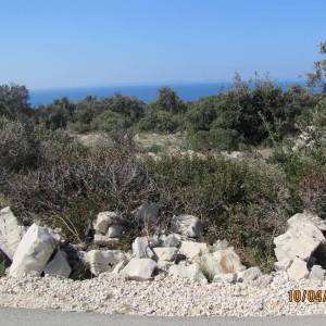 Poljoprivredno zemljište, Vir, 4320 m2  (ID-417)