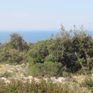 Poljoprivredno zemljište, Vir, 4320 m2  (ID-417)