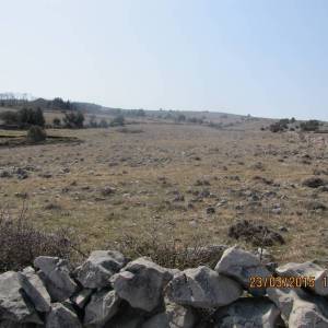 Poljoprivredno zemljište, Vir, 6800 m2  (ID-405)