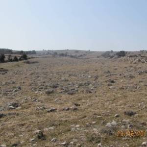 Poljoprivredno zemljište, Vir, 6800 m2  (ID-405)