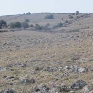 Poljoprivredno zemljište, Vir, 6800 m2  (ID-405)