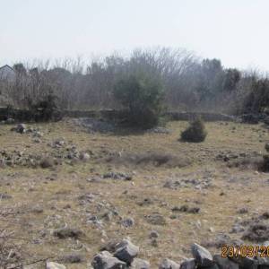 Poljoprivredno zemljište, Vir, 6800 m2  (ID-405)