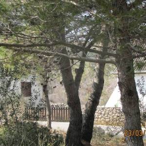 Poljoprivredno zemljište, Vir, 11300 m2 lijepa pozicija!  (ID-404)