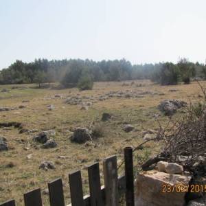 Poljoprivredno zemljište, Vir, 11300 m2 lijepa pozicija!  (ID-404)