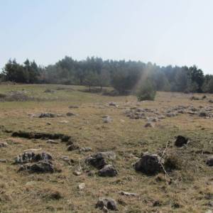 Poljoprivredno zemljište, Vir, 11300 m2 lijepa pozicija!  (ID-404)