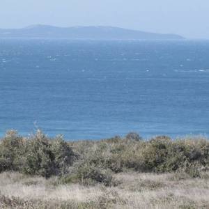 Poljoprivredno zemljište, Vir, 12100 m2 prekrasan pogled na more!  (ID-377)