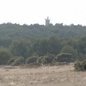 Poljoprivredno zemljište, Vir, 6800 m2 POVOLJNO!  (ID-365)