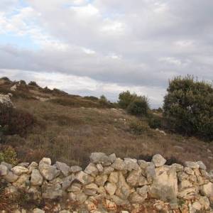 Poljoprivredno zemljište, Vir, 6800 m2 POVOLJNO!  (ID-365)