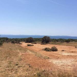 Poljoprivredno zemljište Vir, 7000   (ID-345)