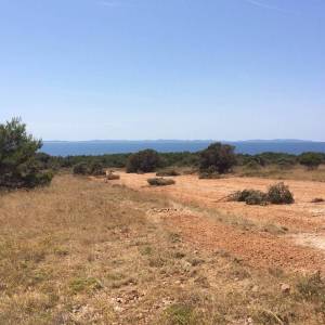 Poljoprivredno zemljište Vir, 7000   (ID-345)