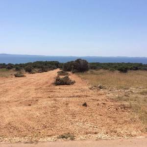 Poljoprivredno zemljište Vir, 7000   (ID-345)