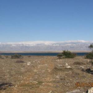 Poljoprivredno zemljište, Vir, 10100 m2  (ID-334)