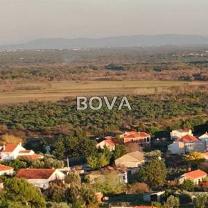 Poljoprivredno zemljište 31000 m2 – Ninski Stanovi *Pravilan oblik* (ID-2573/E)