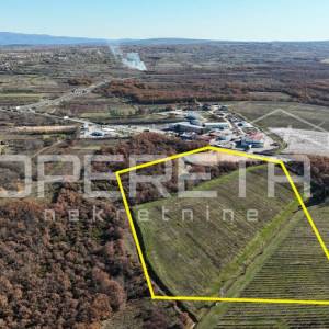 Posedarje - Gospodarsko zemljište 25.000 m² uz magistralu