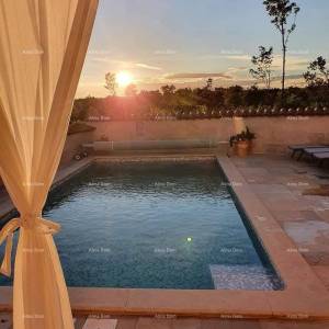 Predivna kuća sa bazenom, okružena zelenilom!