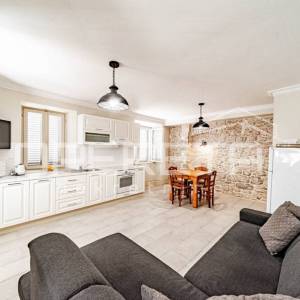 Prekrasna kamena kuća u centru Blata s garažom i velikim dvorištem