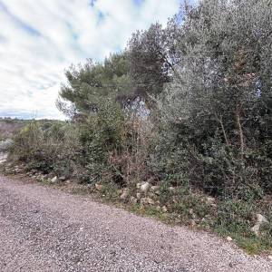 Premantura, građevinsko zemljište 1.600 m²