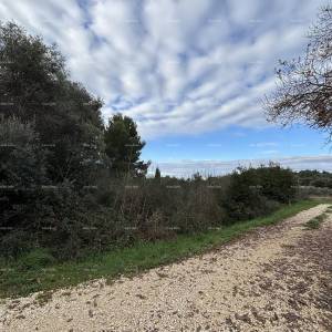 Premantura, građevinsko zemljište 1.600 m²