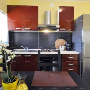 Premantura! Kuća s dva apartmana!