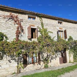 Prodaja - autentična kamena kuća s 2 pomoćna objekta i prostranim dvorištem, Brtonigla!