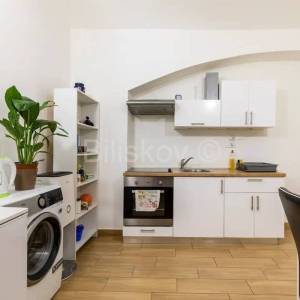 Prodaja, Donji grad, 1-soban stan, novouređeno