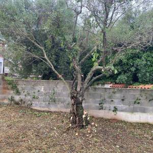 Prodaja građevinskog zemljišta s projektom i ishodovanom građevinskom dozvolom za 8 stanova, Tar!