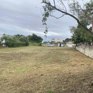 Prodaja građevinskog zemljišta s projektom i ishodovanom građevinskom dozvolom za 8 stanova, Tar!