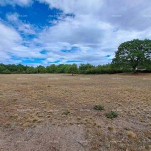 Prodaja građevinskog zemljišta, Kanfanar