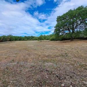 Prodaja građevinskog zemljišta, Kanfanar