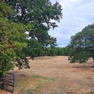 Prodaja građevinskog zemljišta, Kanfanar