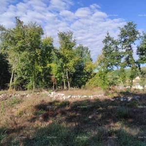 Prodaja građevinskog zemljišta sa projektom i građevinskom dozvolom, Karojba