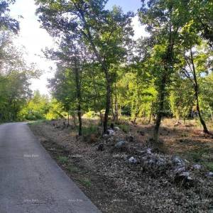 Prodaja građevinskog zemljišta sa projektom i građevinskom dozvolom, Karojba