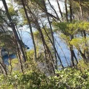 Prodaja građevinskog zemljišta, Korčula