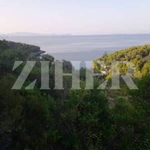 PRODAJA, KORČULA, BLATO, POLJOPRIVREDNO ZEMLJIŠTE 80.000 M2 UZ MORE