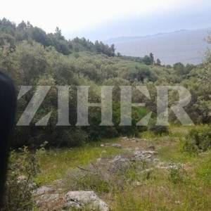 PRODAJA, KORČULA, BLATO, POLJOPRIVREDNO ZEMLJIŠTE 80.000 M2 UZ MORE