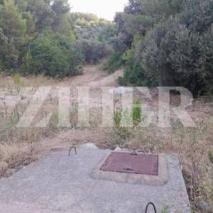 PRODAJA, KORČULA, BLATO, POLJOPRIVREDNO ZEMLJIŠTE 80.000 M2 UZ MORE
